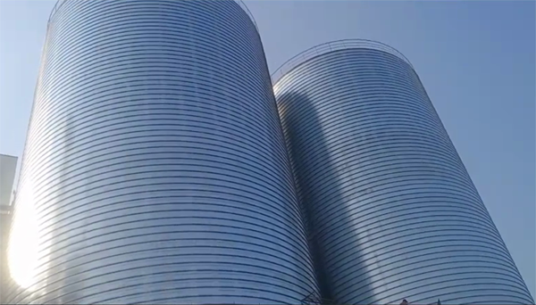 紫阳2座混凝土高架卷板仓